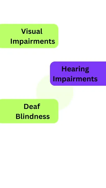 Disability awareness video editing sample.