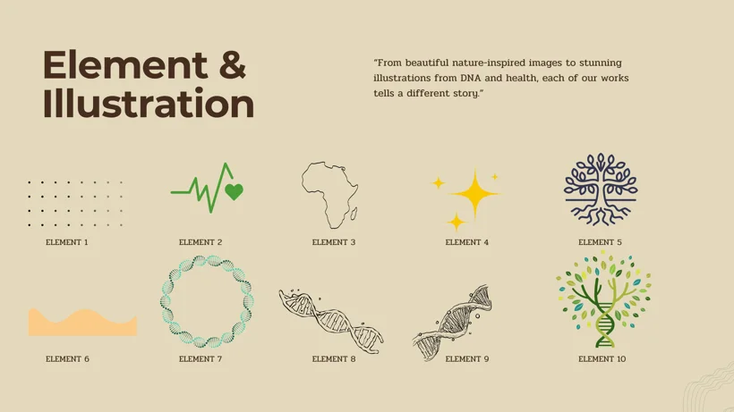 Brand illustration and reusable motif library.