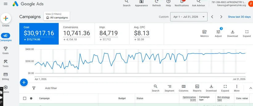 Google Ads campaign and conversion reporting.