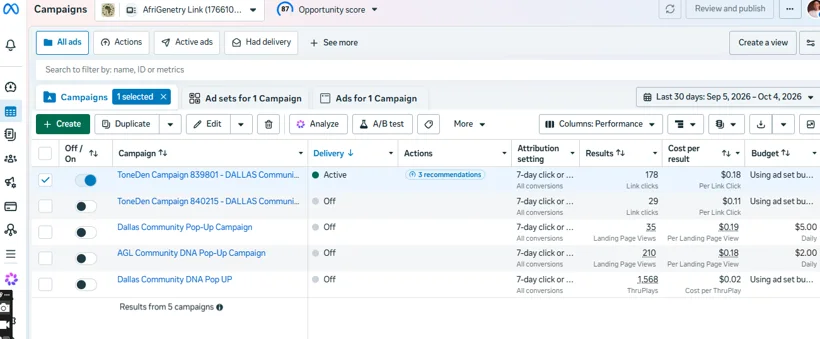 Dallas Meta Ads campaign structure and delivery.