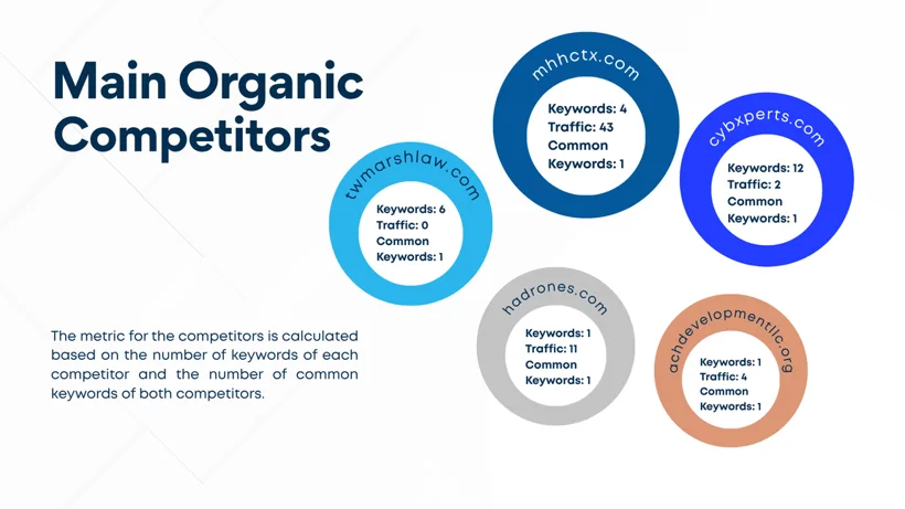 Organic search competitor analysis.
