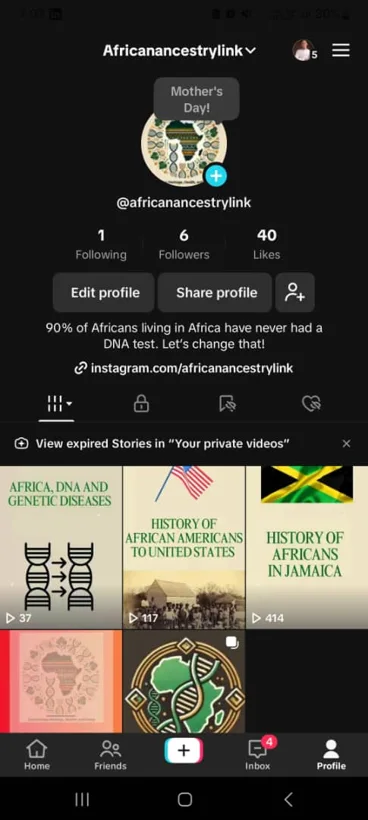 Earlier TikTok profile and published content.