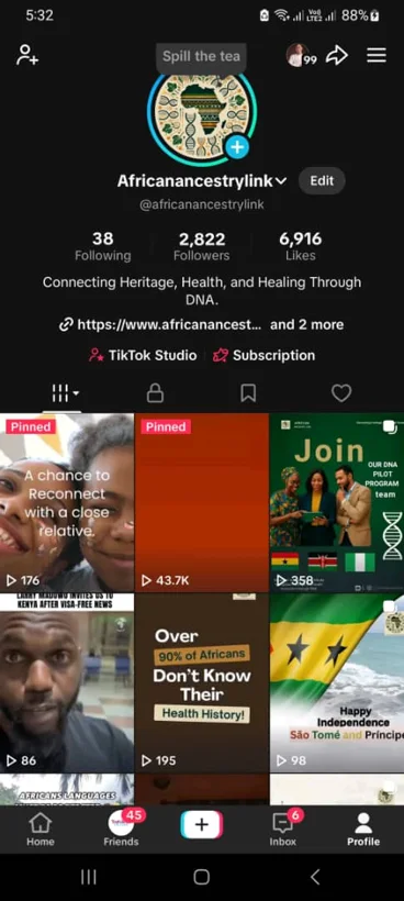 TikTok profile and content presentation.