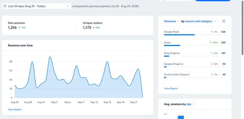 Wix website sessions and acquisition sources.