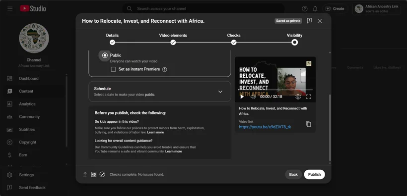 YouTube video details and publishing settings.