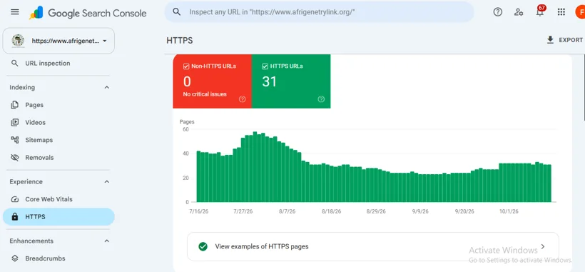Search Console HTTPS coverage.
