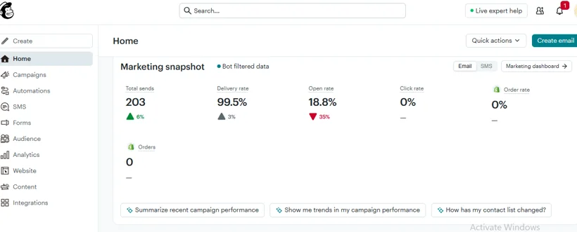 Mailchimp delivery and email engagement snapshot.