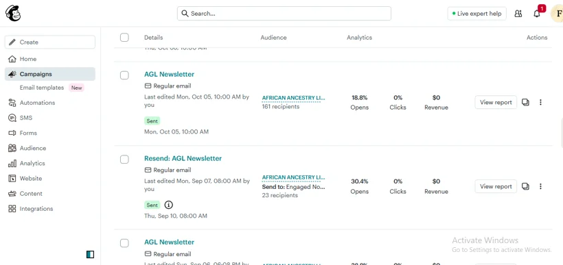Mailchimp newsletter campaigns and reporting.