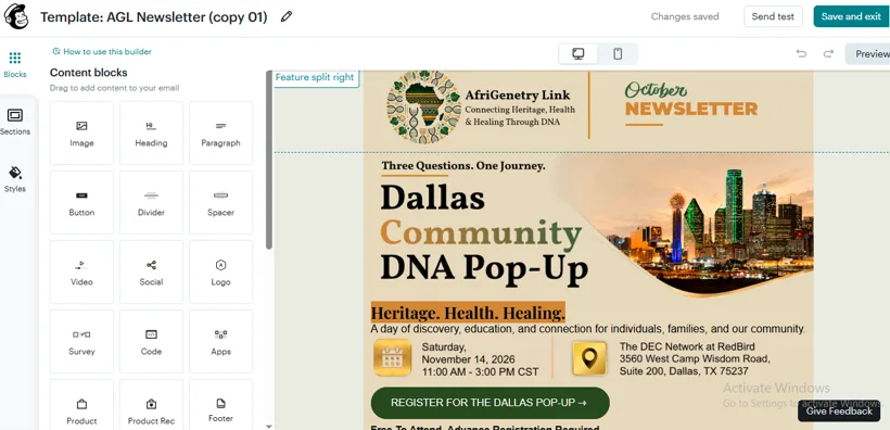 Dallas Community DNA Pop-Up newsletter design.