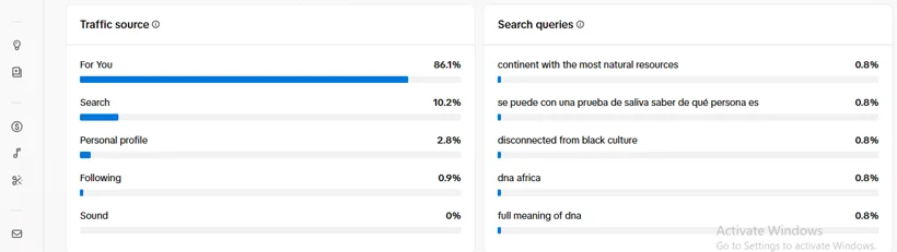 TikTok traffic sources and search queries.