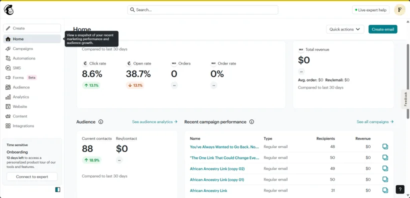 Email campaign and audience performance.