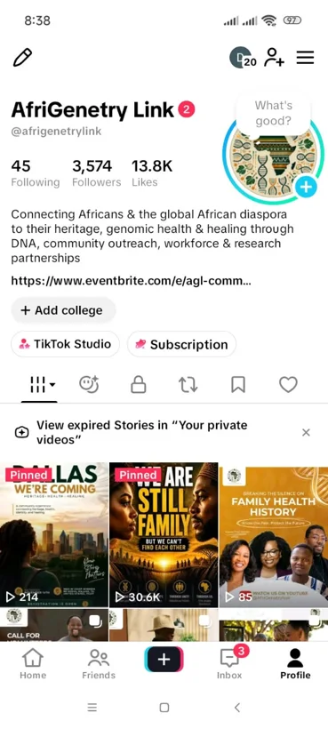 TikTok mobile profile management.