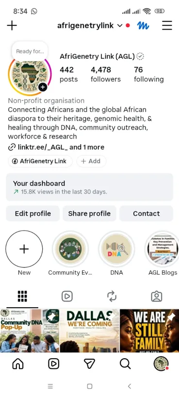 Instagram profile branding and highlights.